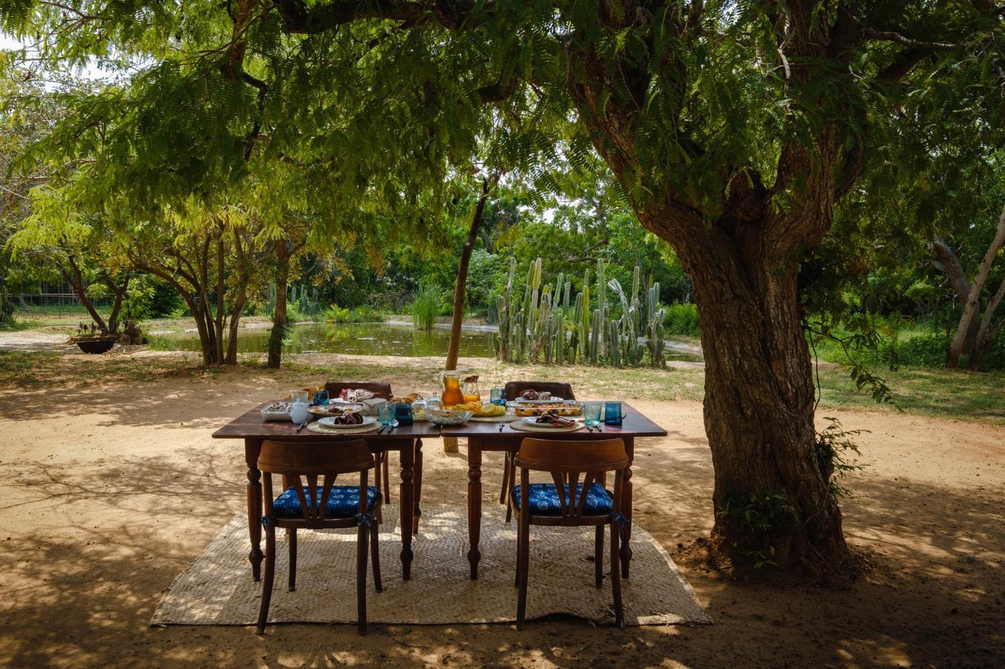 Bed and Breakfast Treasure Rock Kirinda  Esterno foto