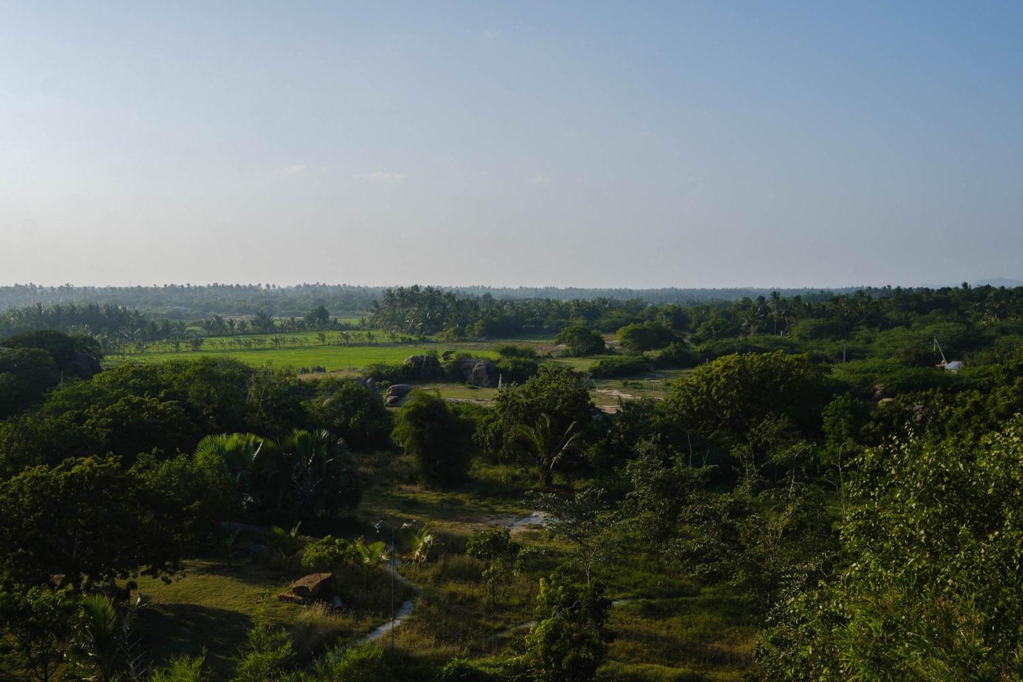 Bed and Breakfast Treasure Rock Kirinda  Esterno foto