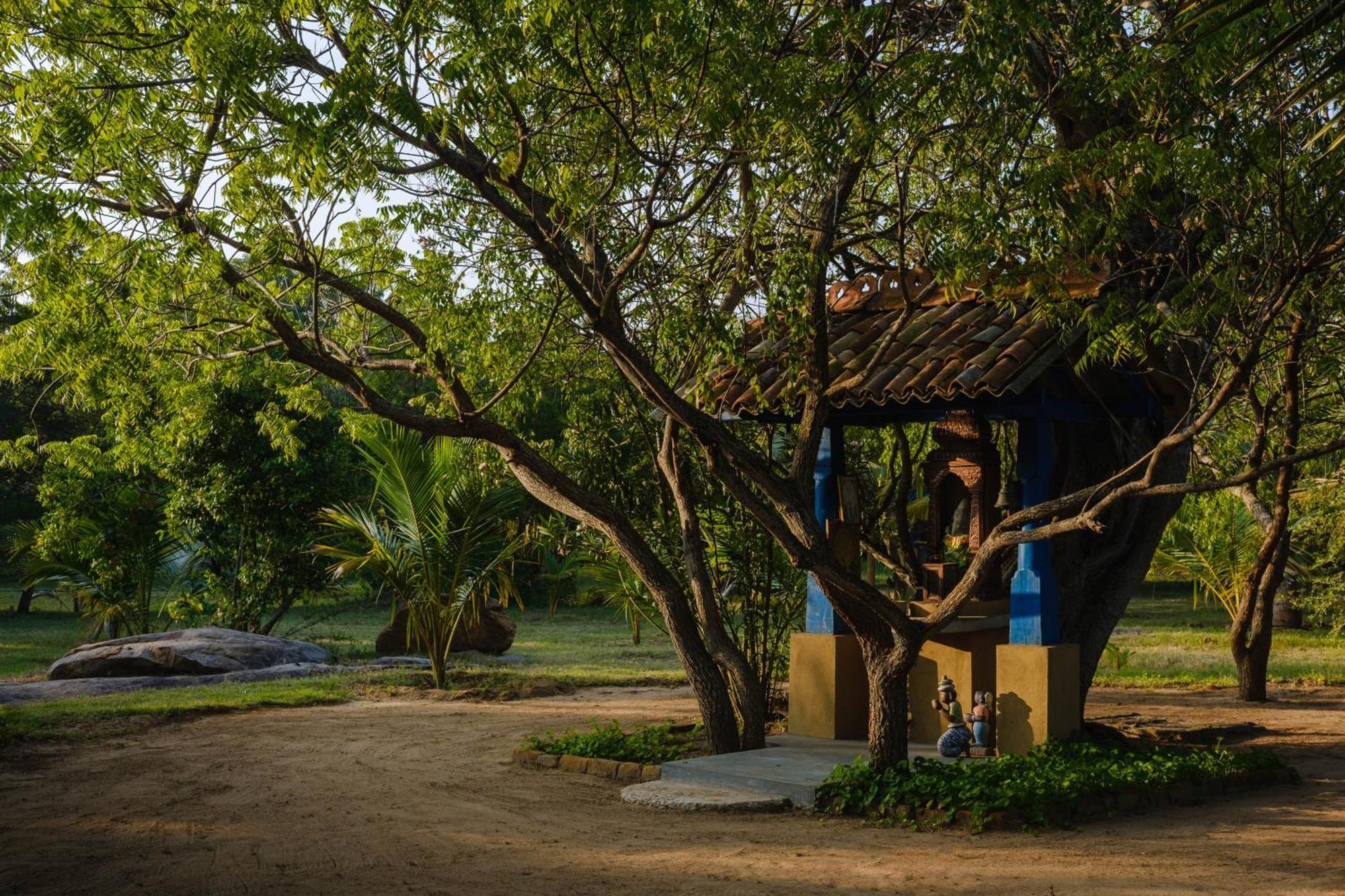 Bed and Breakfast Treasure Rock Kirinda  Esterno foto